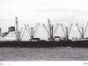 MS Alemannia